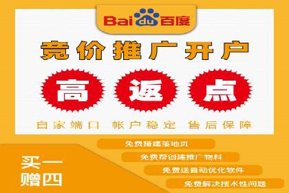 网络推广中的竞价广告：成功案例解析